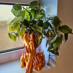 Laura added a photo of their purchase