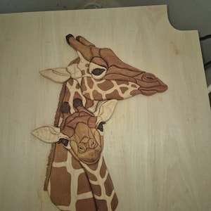 Katrina added a photo of their purchase