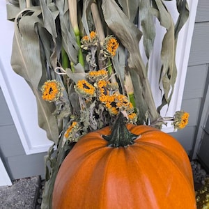 Susan added a photo of their purchase
