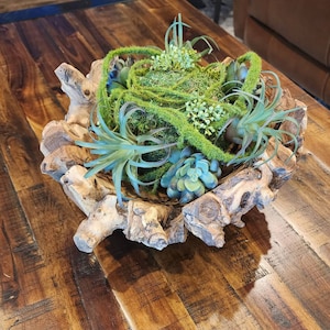 Chantel added a photo of their purchase