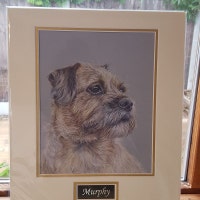 Laser Engraved Acrylic Plaque In Brushed Gold / Silver Or Black Finish (Multi Size Options) | UK - Foto 5