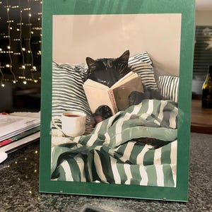 Inactive account added a photo of their purchase
