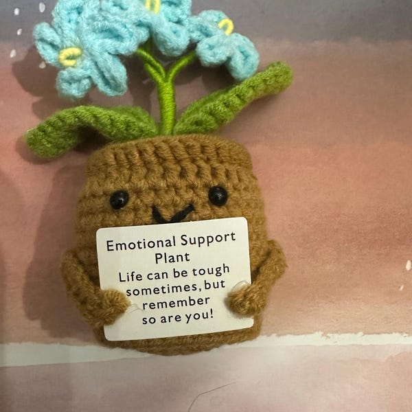 Cute Handmade Crochet Forget Me Nots-emotional Support Plant-thank You ...