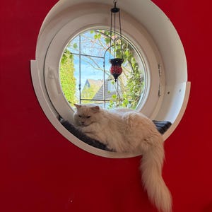 Julia added a photo of their purchase