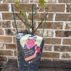 Jay added a photo of their purchase