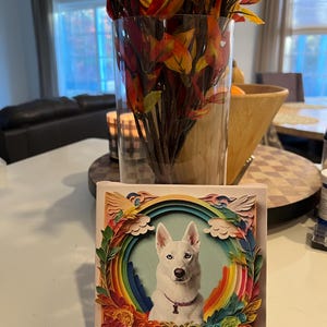 Ann a ajouté une photo de son achat