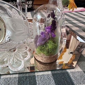 Anna added a photo of their purchase