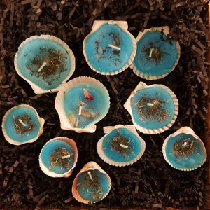 Rachelle added a photo of their purchase