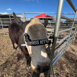 Makenzie added a photo of their purchase