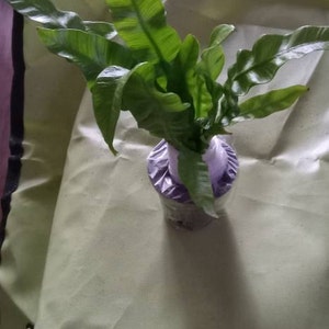 Billie added a photo of their purchase