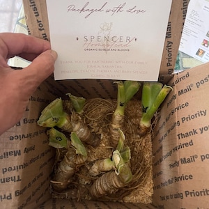 Rauni heeft een foto van zijn/haar aankoop toegevoegd