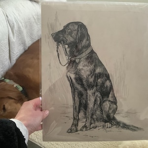 Jenn added a photo of their purchase