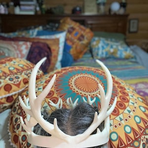 sondra added a photo of their purchase