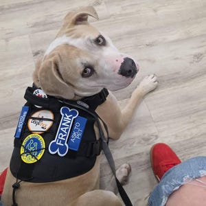 Awesome added a photo of their purchase