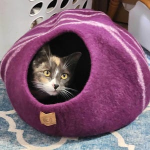 Sandra added a photo of their purchase