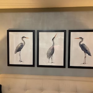Sheryl added a photo of their purchase