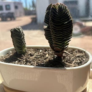 Jason added a photo of their purchase