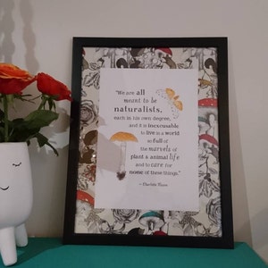 Mia ha aggiunto una foto del proprio acquisto