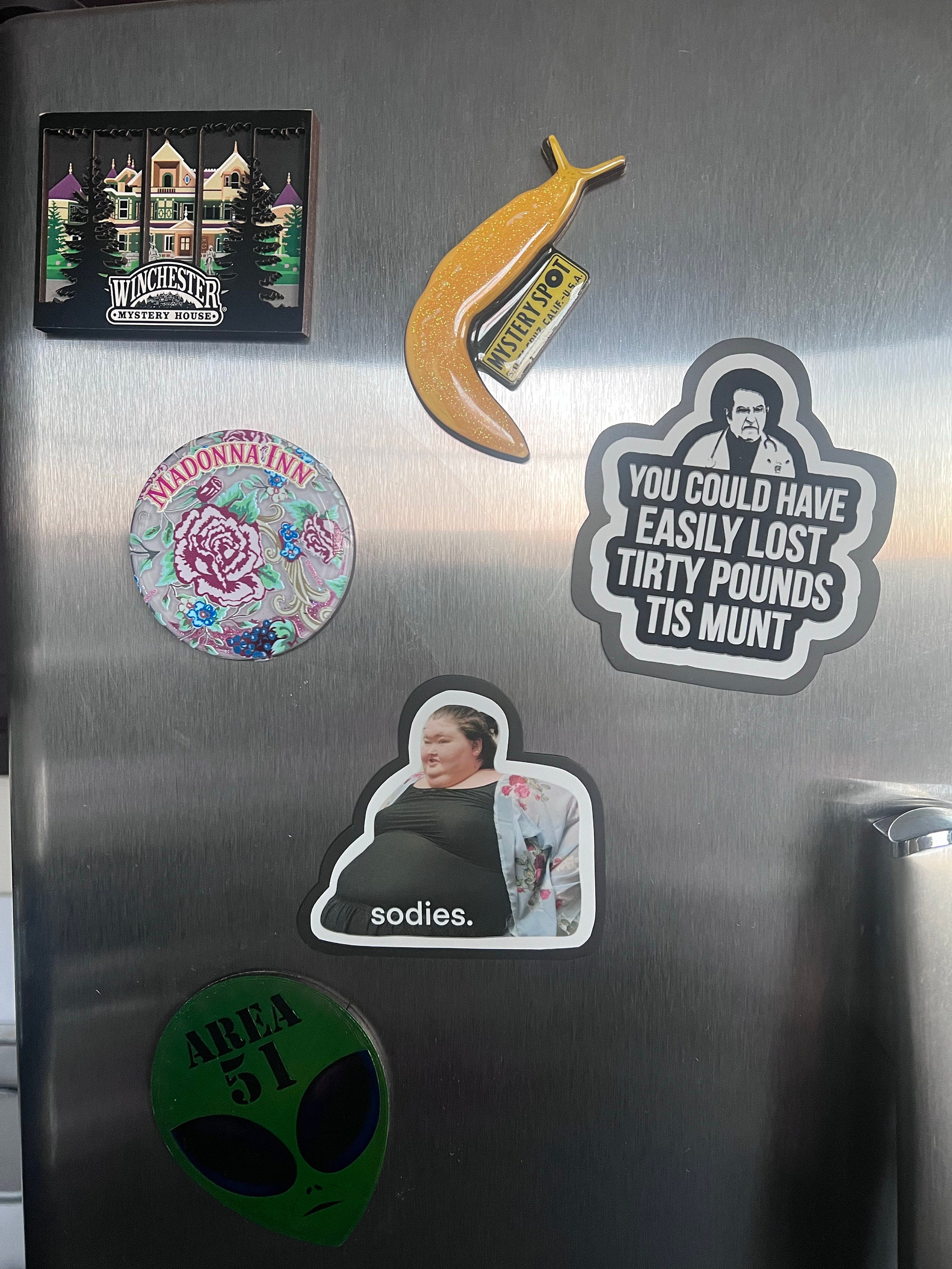 Amy Slaton magnet, 1000 lb sisters magnet, funny fridge magnet, sodies, TLC show, 1000 pound sisters, my 600 pound life, my bills are paid