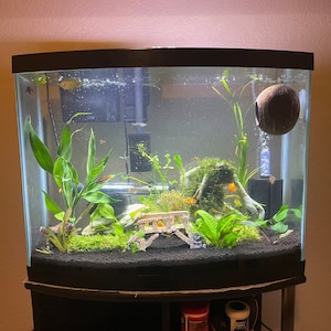 Victor added a photo of their purchase