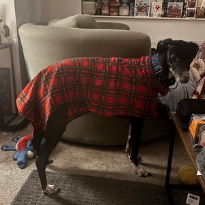 Caitlin さんが購入した商品の写真を追加しました