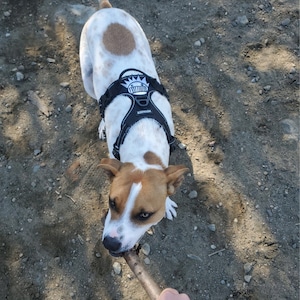 Julia added a photo of their purchase