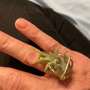 Judy added a photo of their purchase