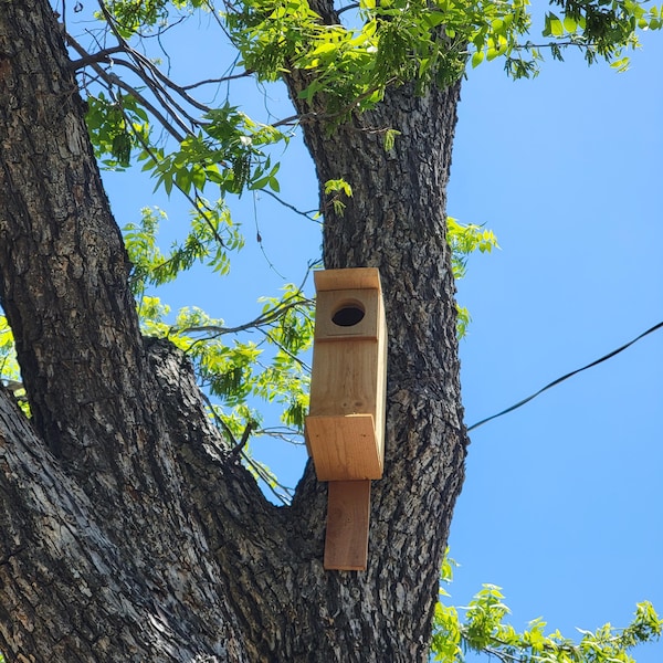 Screech Owl Single Nesting Box Handmade - Etsy