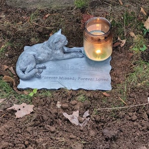 Alannah hat ein Foto des gekauften Artikels hinzugefügt
