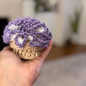 Galia さんが購入した商品の写真を追加しました