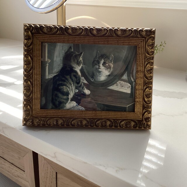 Cat in Mirror Vintage Print by Frank Paton (digital Download) - Etsy