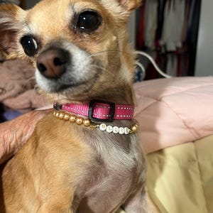 Mary ha añadido una foto de su compra