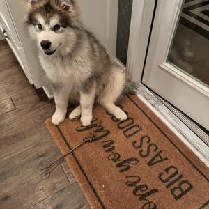 Abbie a ajouté une photo de son achat