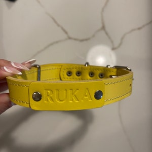 Taylor ha añadido una foto de su compra