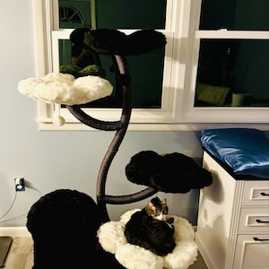 Faith added a photo of their purchase