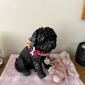 Amanda added a photo of their purchase