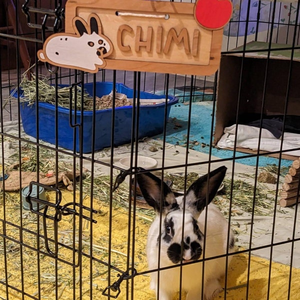 Mix & Match Bunny Stud Earrings one Pair, Rabbit Studs, Cute Enamel ...