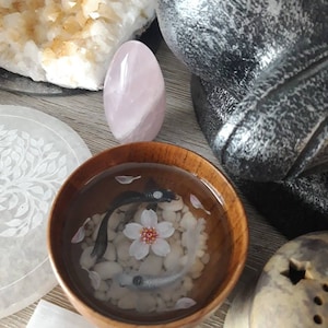 Laetitia added a photo of their purchase