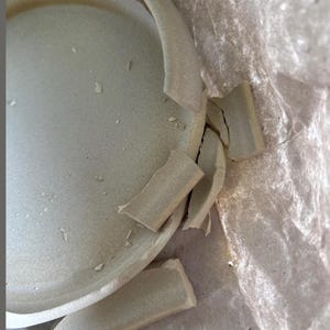 Anne added a photo of their purchase