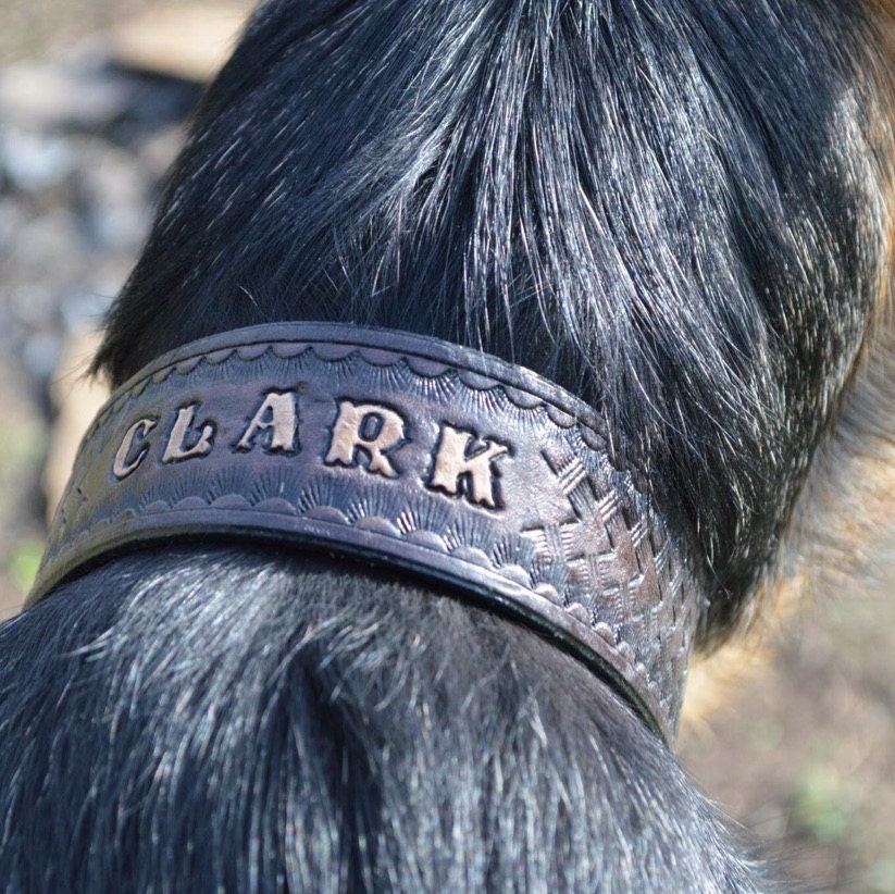 LEATHER DOG COLLAR // Wolf head // For big and middle dog breeds