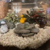 Decoris Kuiken 5 cm x 8 stuks chenille met houten clip bloem paasdecoratie paaskeuken om te knutselen, geel kleurrijk