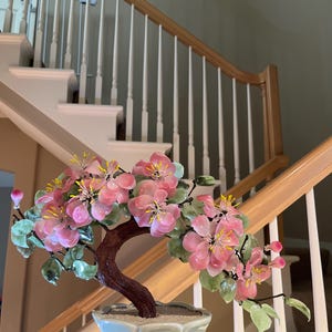 Taylor a ajouté une photo de son achat