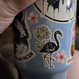Ashley added a photo of their purchase