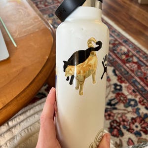 Cass added a photo of their purchase