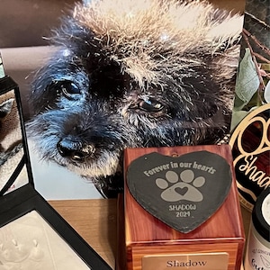 Liann added a photo of their purchase