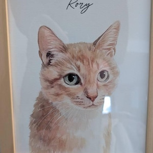 Drew ha añadido una foto de su compra