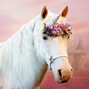 Unicorn Horn for Horses & Ponies: realistic unicorn bridle attachment –  Unicorn Corner