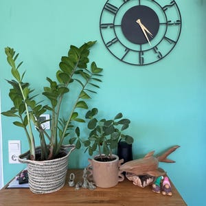 Iwi added a photo of their purchase