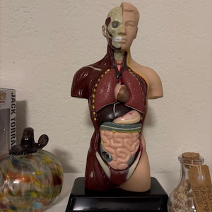 Lara added a photo of their purchase