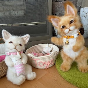 Amy a ajouté une photo de son achat
